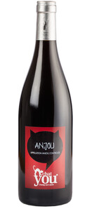 Domaine des Chailloux - Domaine des Chailloux Anjou Chat You - Rouge - 2014