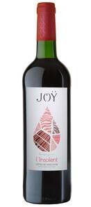 Domaine de Joy - L’Insolent - Rouge - 2020