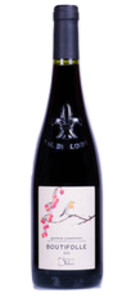 domaine dubois christelle - BOUTIFOLLE - Rouge - 2019