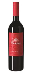 Château Castigno - Terra Casta - Rouge - 2017