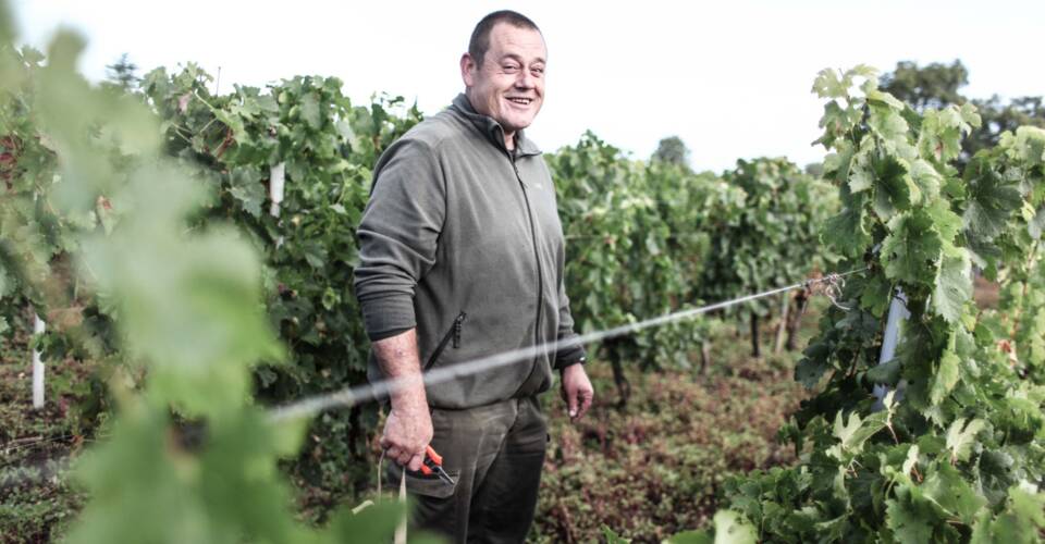 Winegrower, sell on Les Grappes!