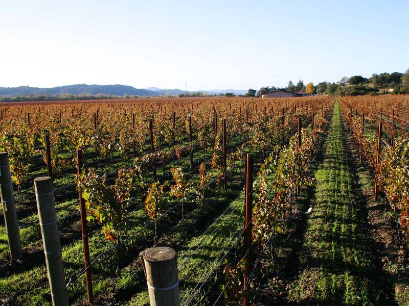 Domaine de la Dourbie