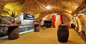 Domaine de Champ-Fleury(Beaujolais) : Visite & Dégustation Vin