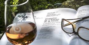 Enclos de la Croix(Languedoc) : Visite & Dégustation Vin