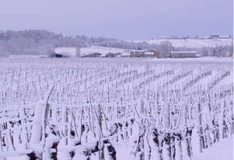 Le vignoble sous la neige du Château de Bertin