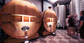 CHAMPAGNE ALBERT BEERENS(Champagne) : Visite & Dégustation Vin