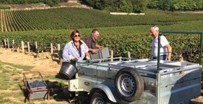 Domaine de Cardon(Bourgogne) : Visite & Dégustation Vin
