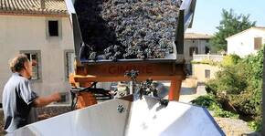 Domaine Sibille(Languedoc) : Visite & Dégustation Vin
