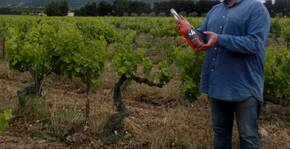 Domaine Grand Père Jules(Vallée du Rhône) : Visite & Dégustation Vin