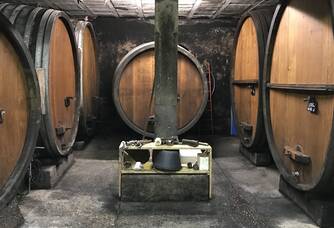 Cave vinification
