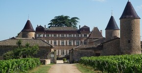 Château de Chasselas(Bourgogne) : Visite & Dégustation Vin