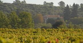 Château de la Curnière(Provence) : Visite & Dégustation Vin
