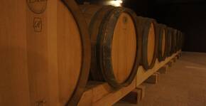 Domaine Saint-Rémy(Alsace) : Visite & Dégustation Vin