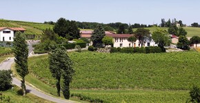 Domaine Vayssette - Le vignoble et la maison