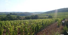 Domaine Galtier(Languedoc) : Visite & Dégustation Vin
