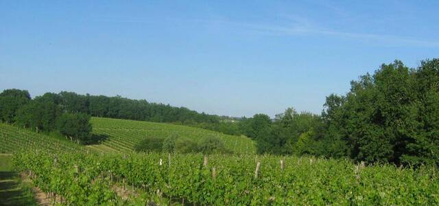 Château Haut de Lerm