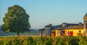 Château Sigalas Rabaud(Bordeaux) : Visite & Dégustation Vin