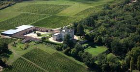 Château de Camarsac (Bordeaux) : Visite & Dégustation Vin