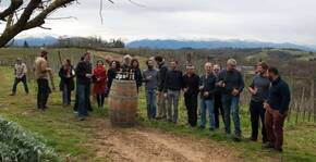 Clos Lapeyre(Sud-Ouest) : Visite & Dégustation Vin