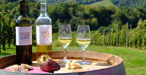 Clos Lapeyre(Sud-Ouest) : Visite & Dégustation Vin