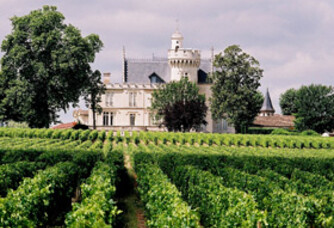 Château Pape Clément - Le vignoble
