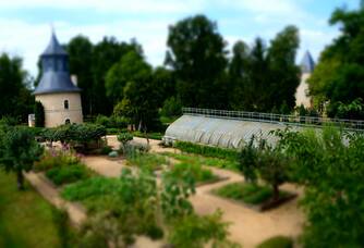 Château de Reignac - Les jardins
