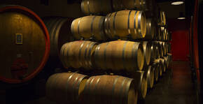 Maison Brotte(Vallée du Rhône) : Visite & Dégustation Vin