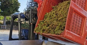 Rabasse Charavin(Vallée du Rhône) : Visite & Dégustation Vin