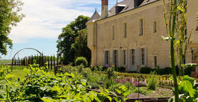 Château de Minière(Loire) : Visite & Dégustation Vin