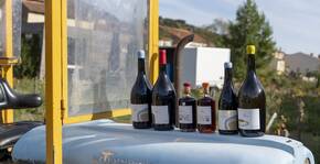 Clos Des Vins d’Amour(Roussillon) : Visite & Dégustation Vin