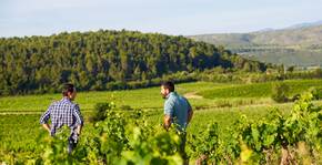 Domaine Rière Cadène(Roussillon) : Visite & Dégustation Vin