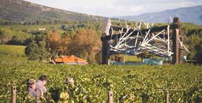 La Coste (Provence-Alpes-Côte d'Azur) : Visite & Dégustation Vin