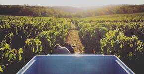 Clos Troteligotte(Sud-Ouest) : Visite & Dégustation Vin