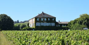 Chateau des Bachelards(Beaujolais) : Visite & Dégustation Vin