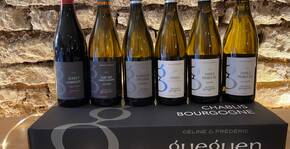 Domaine Celine et Fréderic Gueguen(Bourgogne) : Visite & Dégustation Vin