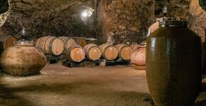 Domaine Amirault, le Clos des Quarterons(Loire) : Visite & Dégustation Vin