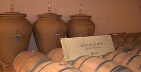 Château du Payre (Bordeaux) : Visite & Dégustation Vin