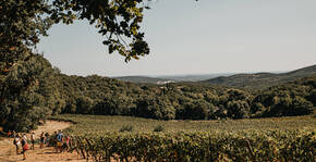 Château Bas d'Aumelas(Languedoc) : Visite & Dégustation Vin