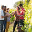 Domaine du Moulin de l'Horizon(Loire) : Visite & Dégustation Vin